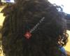 African Hair Braiding Gallery