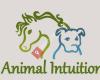 Animal Intuition