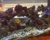 Aquarium Cafe