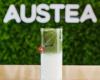Austea