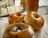 Balsam Bagels