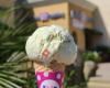 Baskin-Robbins