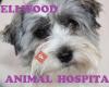 Bellwood Animal Hospital