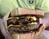 Best Burger Barn - Denison