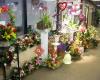 Beverly Hills Florist & Plants