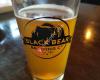 Black Bear Brewery