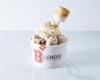 Blendid Rolled Ice Cream