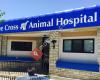 Blue Cross Animal Hospital