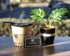 Boba Break Tea House