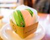 Brick Macaron Ice Cream