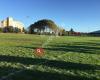 Burlingame Soccer Complex (Murray Field)