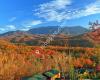 Cabins of the Smoky Mountains