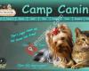 Camp Canine Ft Lauderdale