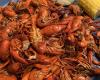 Capital City Crawfish & Cajun Specialties