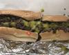 Carl's Steak Subs