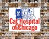Cat Hospital of Chicago