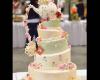 Celebrity cake designs best cakes in south Florida By Janeth