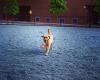 Channel Center Dog Park