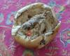 Chestnut Ridge Hot Bagels