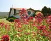 Community Church of the Monterey Peninsula