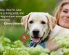 Countryside Animal Hospital, Inc. & Laser Surgery Center