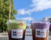 Dash Coffee Bar