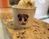 Dulce Panda Handcrafted Ice Cream