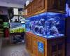 Exotic Aquariums