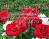 Faith Designs Florist