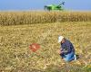 Farm Credit of Southwest Kansas