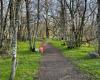 Fort Steilacoom Park