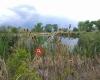 Fountain Creek Nature Center