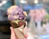 Francy’s Artisanal Ice Cream
