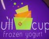 Full Cup Frozen Yogurt