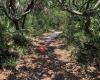 Gamble Rogers Memorial State Recreation Area