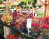 Garden Center at The Home Depot