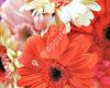 Garden City Floral - Missoula Flower Delivery