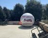 Giant Braves Baseball