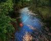 Glacial Drumlin Trail