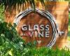 Glass & Vine