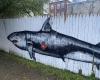 Great White Shark Mural