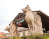 Great Wolf Lodge