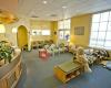 Greenburg Pediatric Dentistry