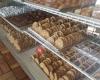 Haby's Alsatian Bakery