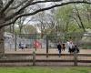 Heckscher Playground