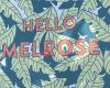 Hello Melrose Mural