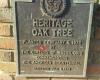 Heritage Oak Park
