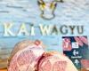 Kai Wagyu