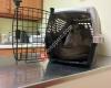 Kinard Creekside Animal Hospital