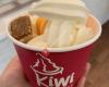 Kiwi Frozen Yogurt